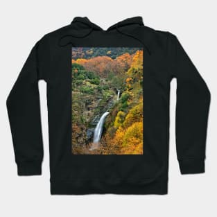 Autumn waterfall Hoodie